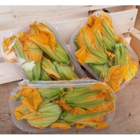 FIORI DI ZUCCA 100 GR FRESCHI